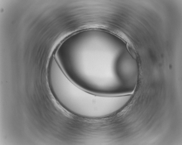 X0000070411132200606161404