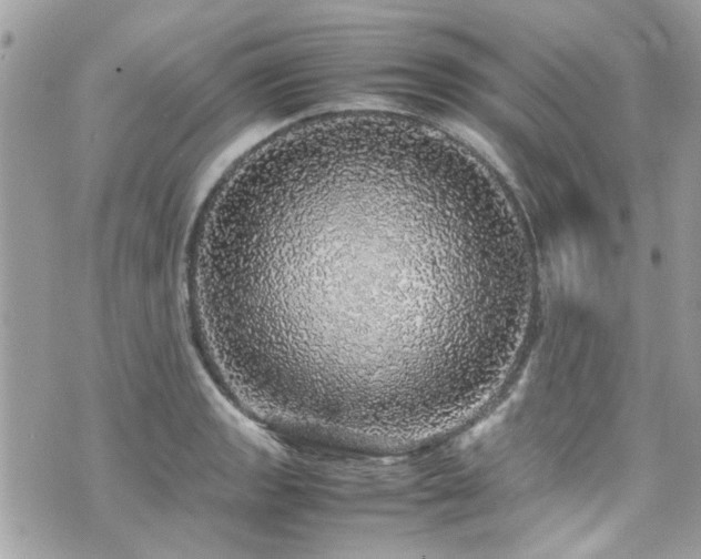 X0000070411133200606161404