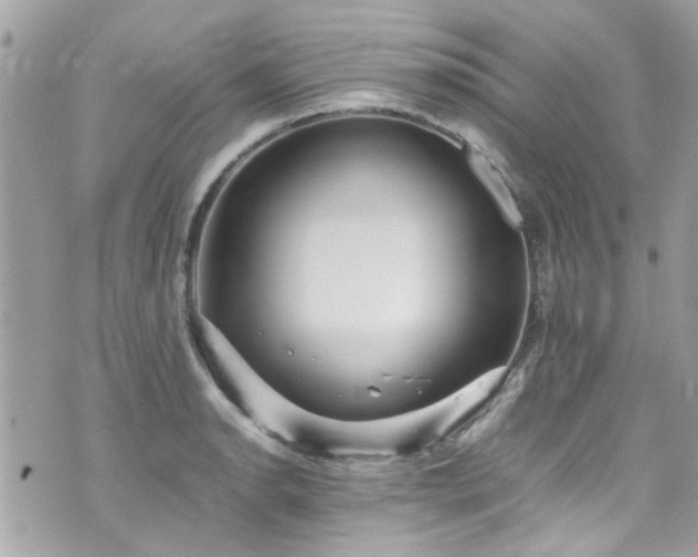 X0000070411134200606161404