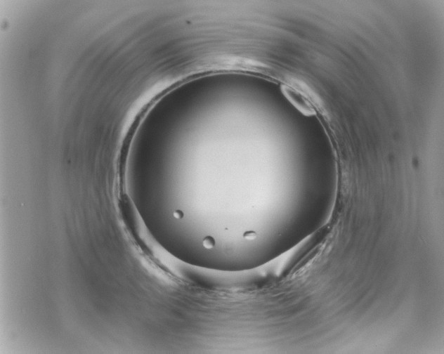 X0000070411136200606161404