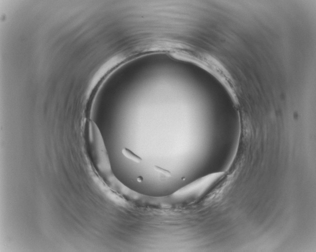 X0000070411138200606161404