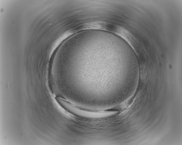 X0000070411139200606161404