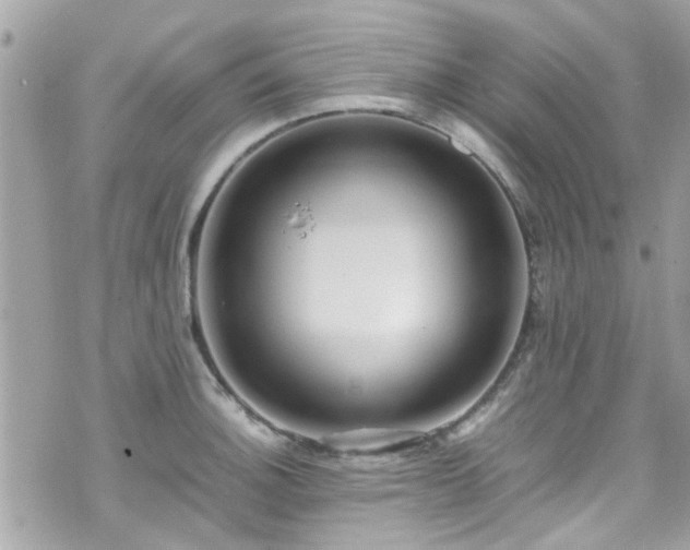 X0000070411140200606161404