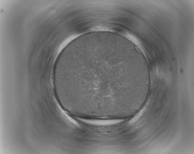 X0000070411141200606161404