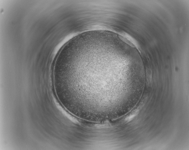 X0000070411142200606161404