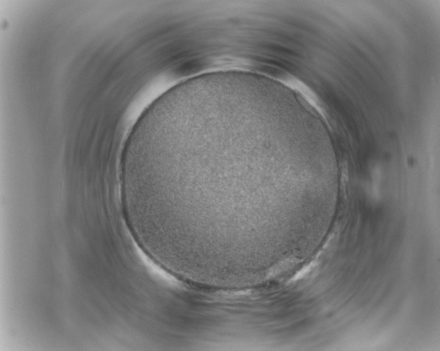 X0000070411143200606161404