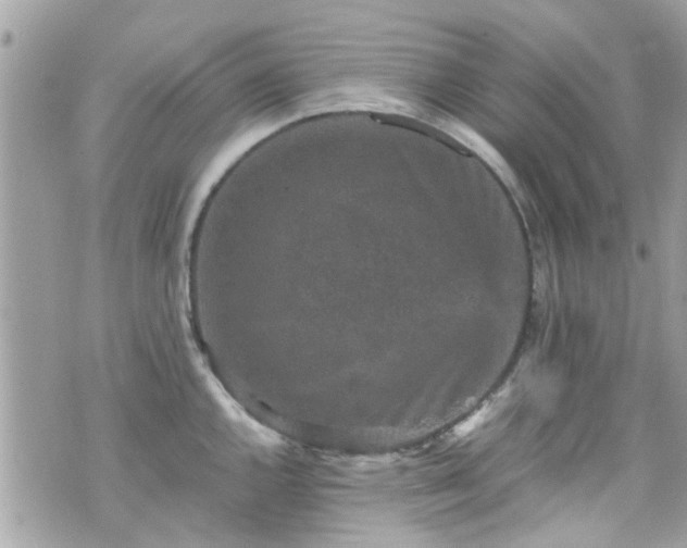 X0000070411144200606161404