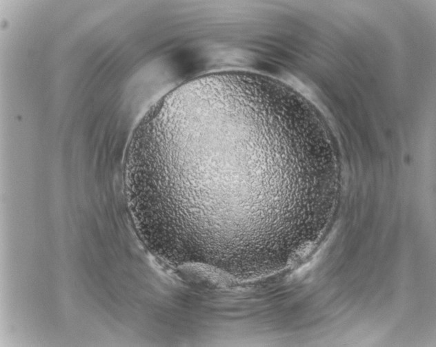 X0000070411145200606161404