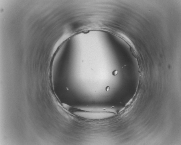 X0000070411146200606161404