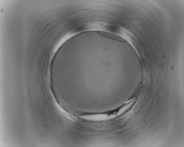 X0000070411147200606161405