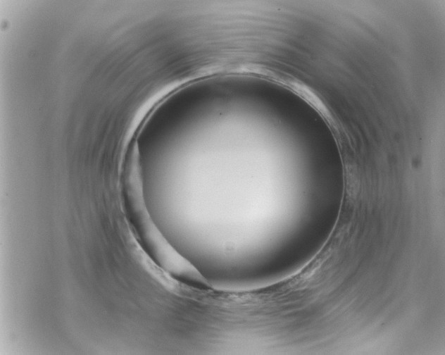 X0000070411148200606161405