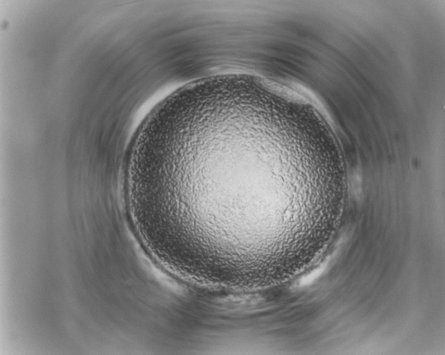 X0000070411149200606161405