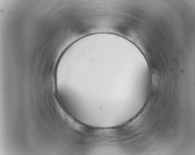 X0000070411150200606161405