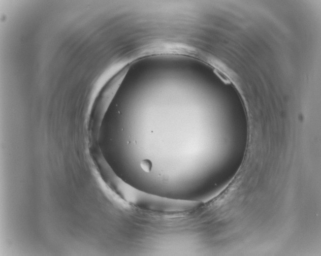 X0000070411152200606161405