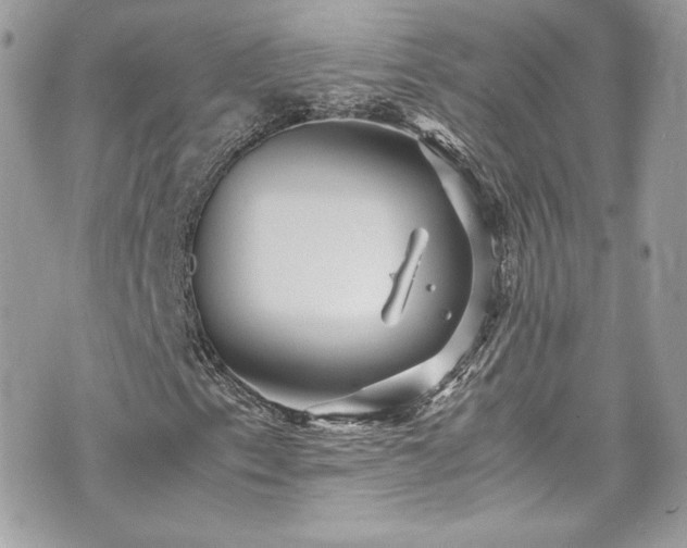 X0000070411153200606161404