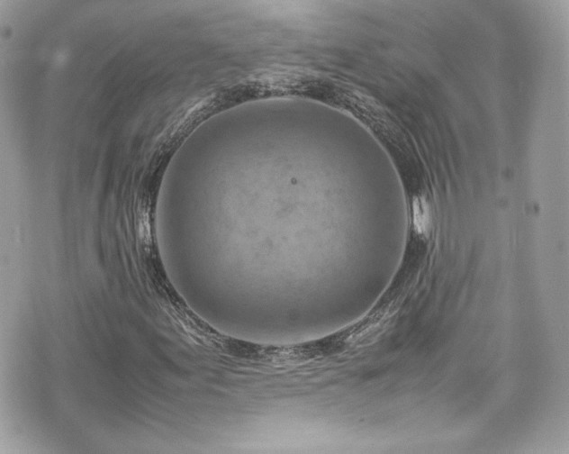 X0000070411155200606161404