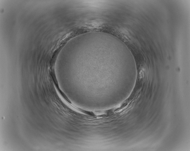 X0000070411156200606161404