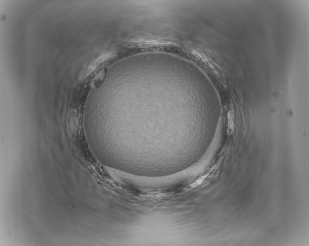 X0000070411157200606161404