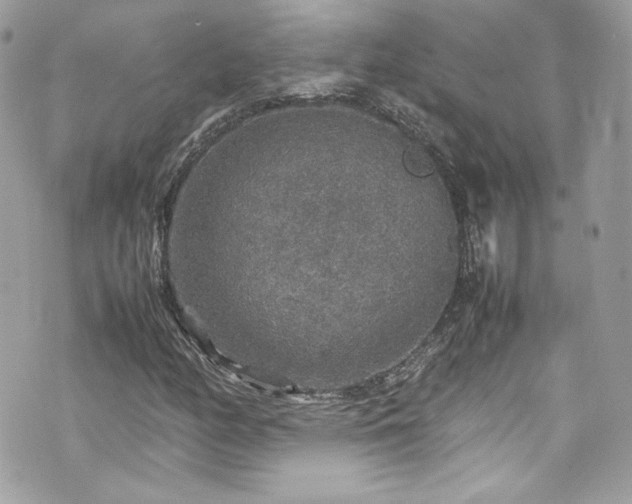 X0000070411158200606161404