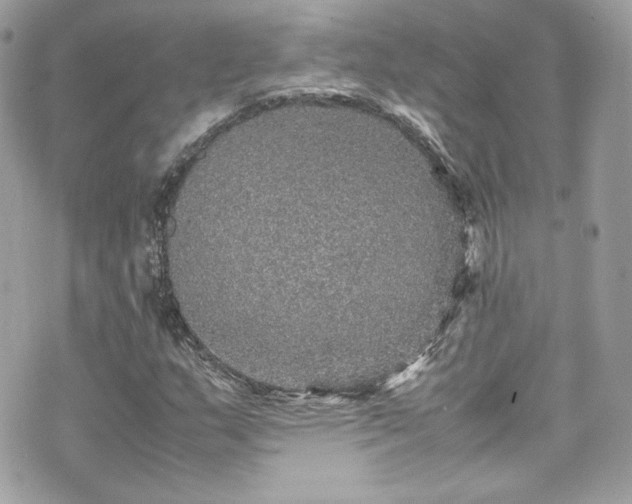 X0000070411159200606161404