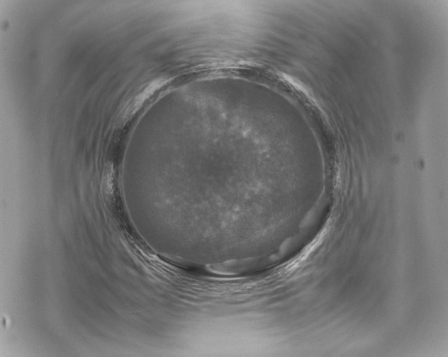 X0000070411161200606161404