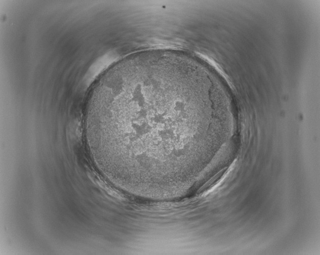 X0000070411163200606161404