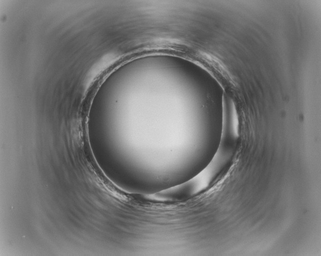 X0000070411164200606161404