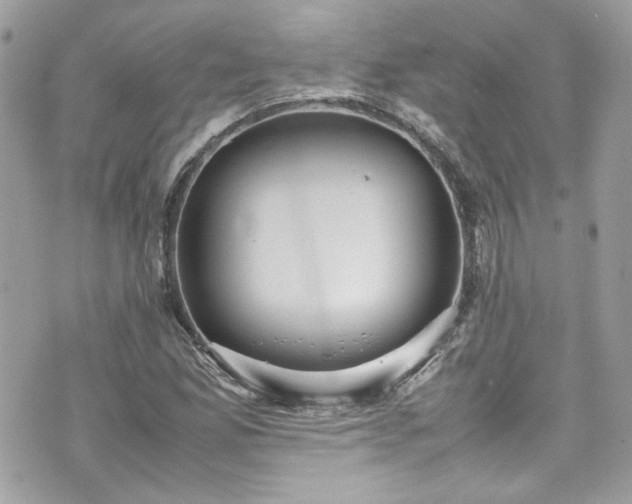 X0000070411165200606161404