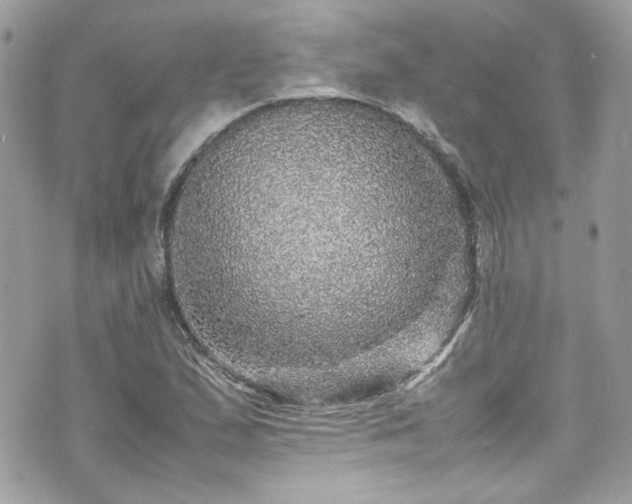 X0000070411167200606161403