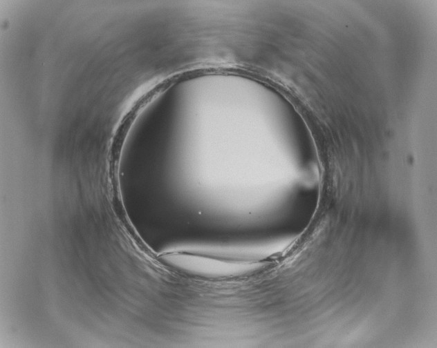 X0000070411168200606161403