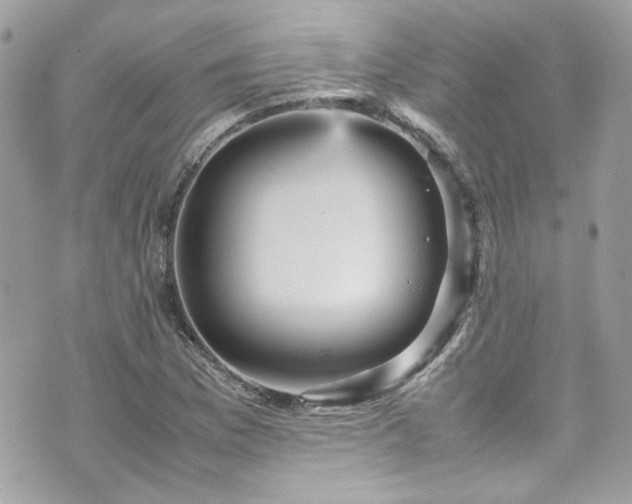 X0000070411169200606161403