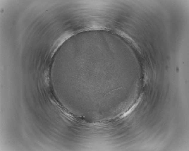 X0000070411170200606161403