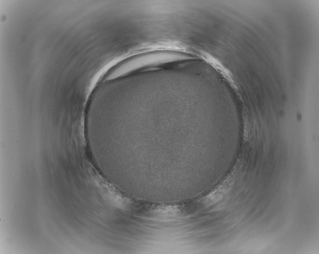 X0000070411174200606161403