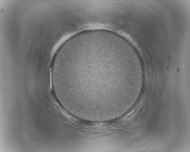 X0000070411175200606161403