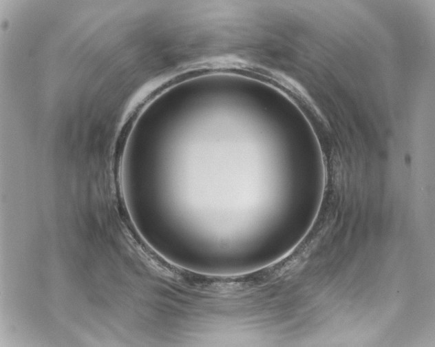 X0000070411176200606161403