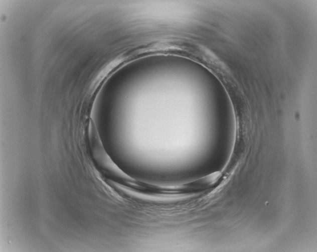 X0000070411177200606161403