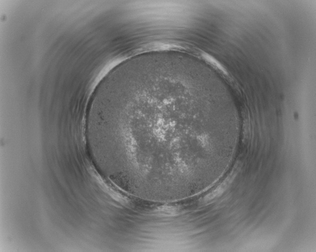 X0000070411178200606161403