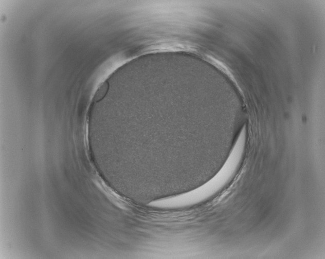 X0000070411179200606161403