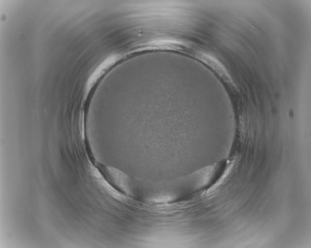 X0000070411180200606161403