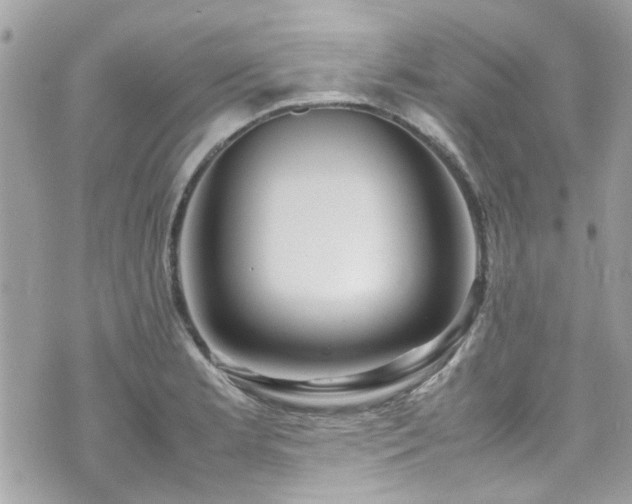 X0000070411181200606161403