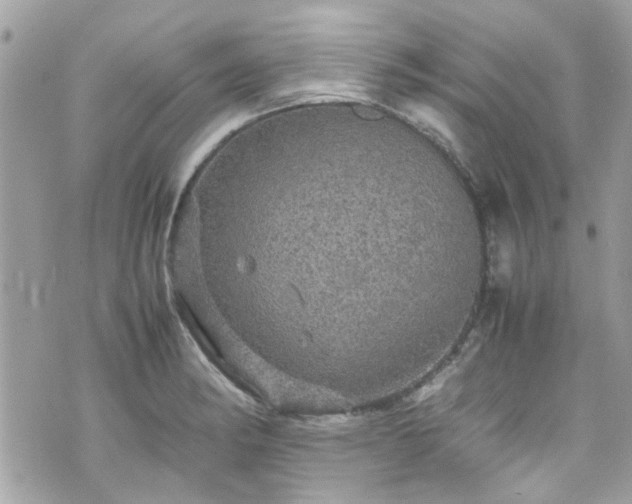 X0000070411182200606161403