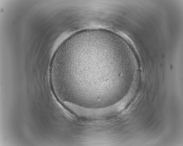 X0000070411183200606161403