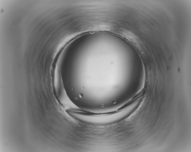 X0000070411184200606161403