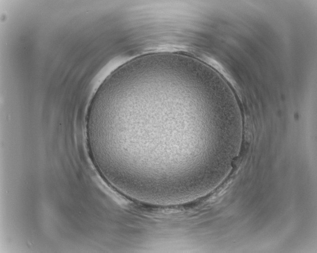 X0000070411187200606161403