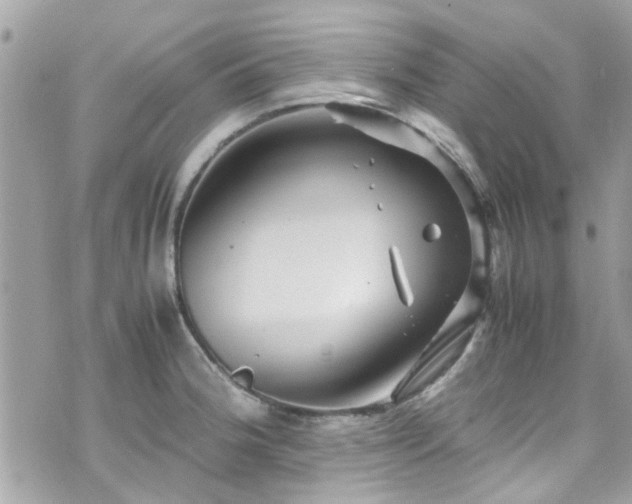 X0000070411188200606161403