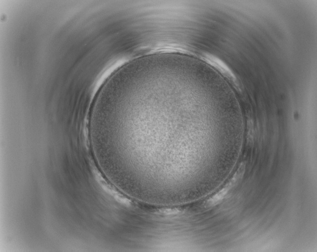 X0000070411190200606161403