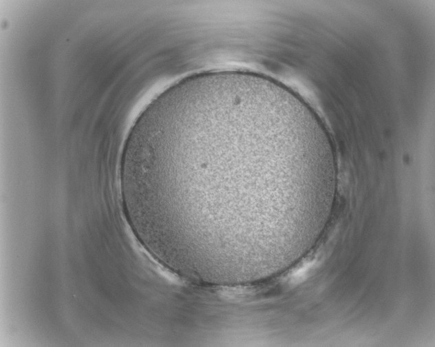 X0000070411191200606161403