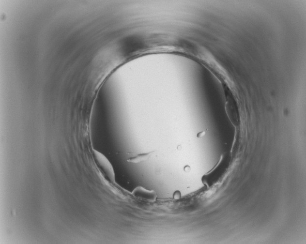 X0000070411193200606161403