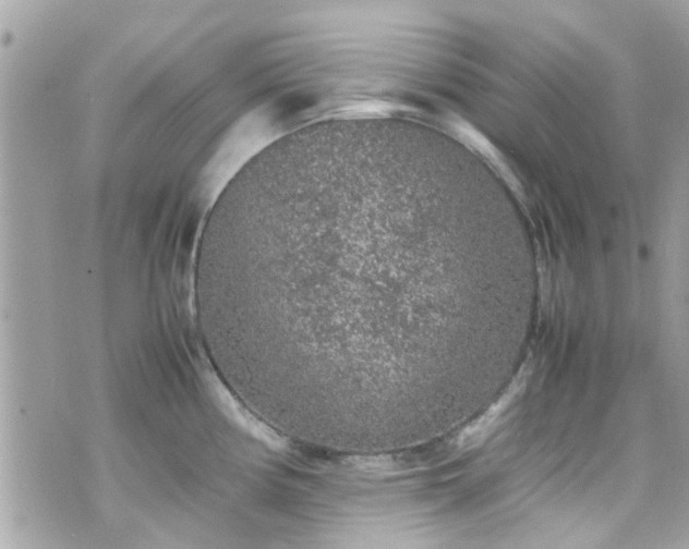 X0000070411194200606161403