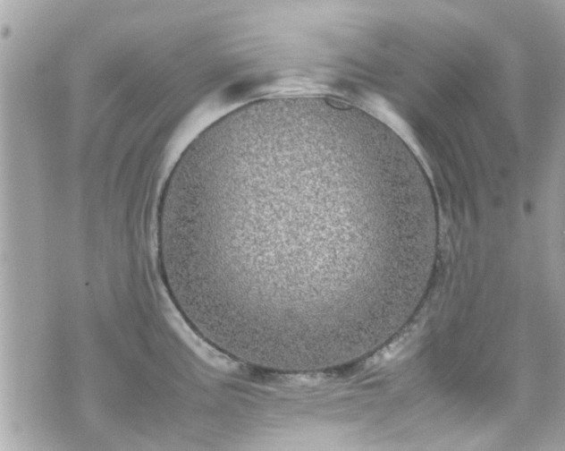 X0000070411195200606161403